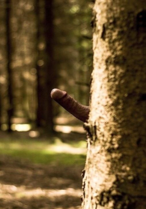 reblogme 10237 m3lKFPEjd9