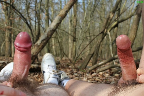 reblogme 74046 6DpjIhbBBy